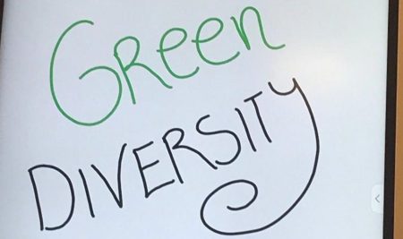 GREEN DIVERSITY: Reunión transnacional en Viena… ¡ Una ciudad tan verde como diversa!